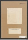 Diatomeae indet. (de-Toni-Nr.: Species 2509 ?) Zeichnungen Sammlung Grunow Nr. 5045 (NHMW-BOT-W0373306)